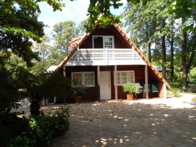 Boteco Pool mit Ferienhaus