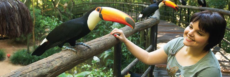 Parque das Aves - Vogelpark bei Iguazú