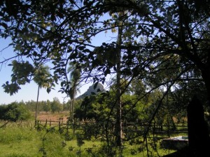19 Jahre Paraguay Auswanderung