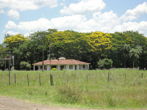 250 ha Farm bei Coronel Oviedo