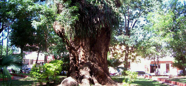 Paraguari in Paraguay