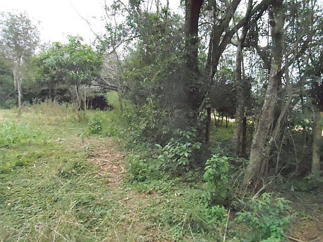 2,3 ha Grundstück in Altos