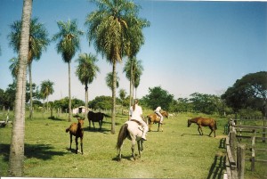 Ausritt rund um Paraguari in Paraguay