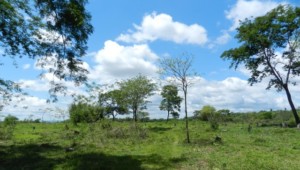 Granja bei Tobati, mit einer Fläche von 25 Hektaren
