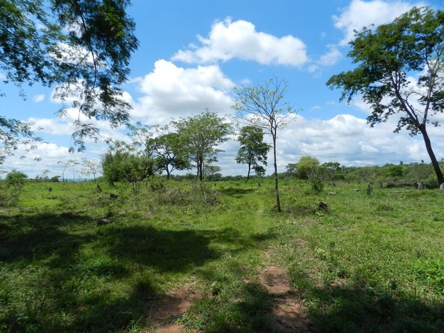 Granja bei Tobati, mit einer Fläche von 25 Hektaren