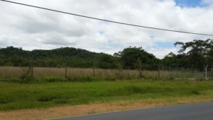 3 Hektare in Pirayú, direkt am Asphalt