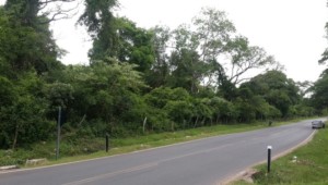 Eckgrundstück mit 8,5 Hektare in Ypacarai, direkt am Asphalt