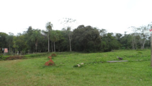 4 Grundstücke in Paraguarí