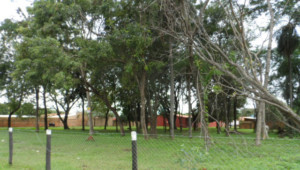 2 Grundstücke in Paraguari