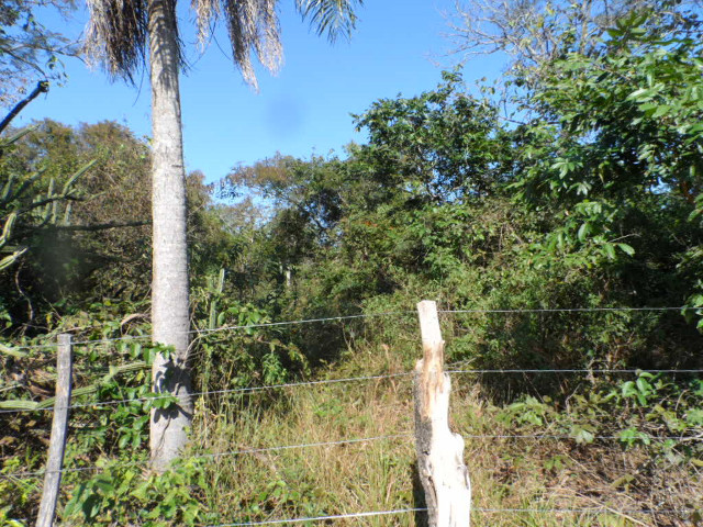 20 ha in Altos