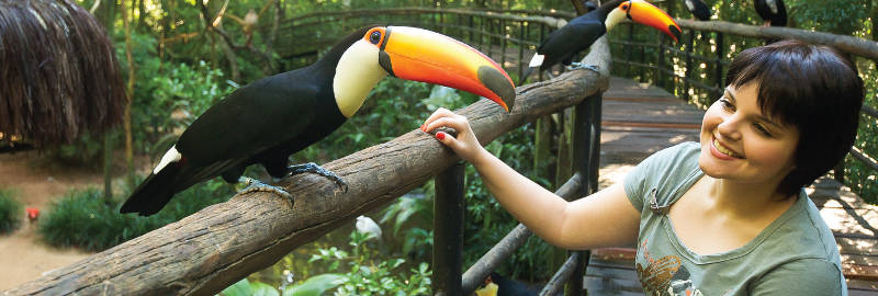 Vogelpark bei den Iguazú Wasserfällen 