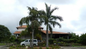 Herrenhaus in Loma Grande, mit 1 ha Land