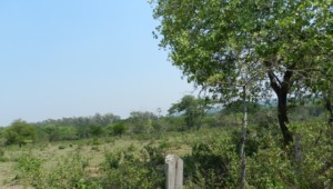 2,4 ha Grundstück in San Bernardino