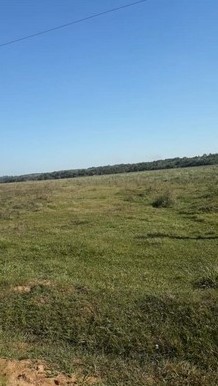 42 ha. Land bei Caapazá