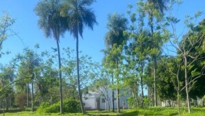 Anwesen mit Haupthaus, zwei Gästehäusern und Atelier in Atyra / Candia