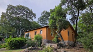 Anwesen in Emboscada, mit 2 Häusern